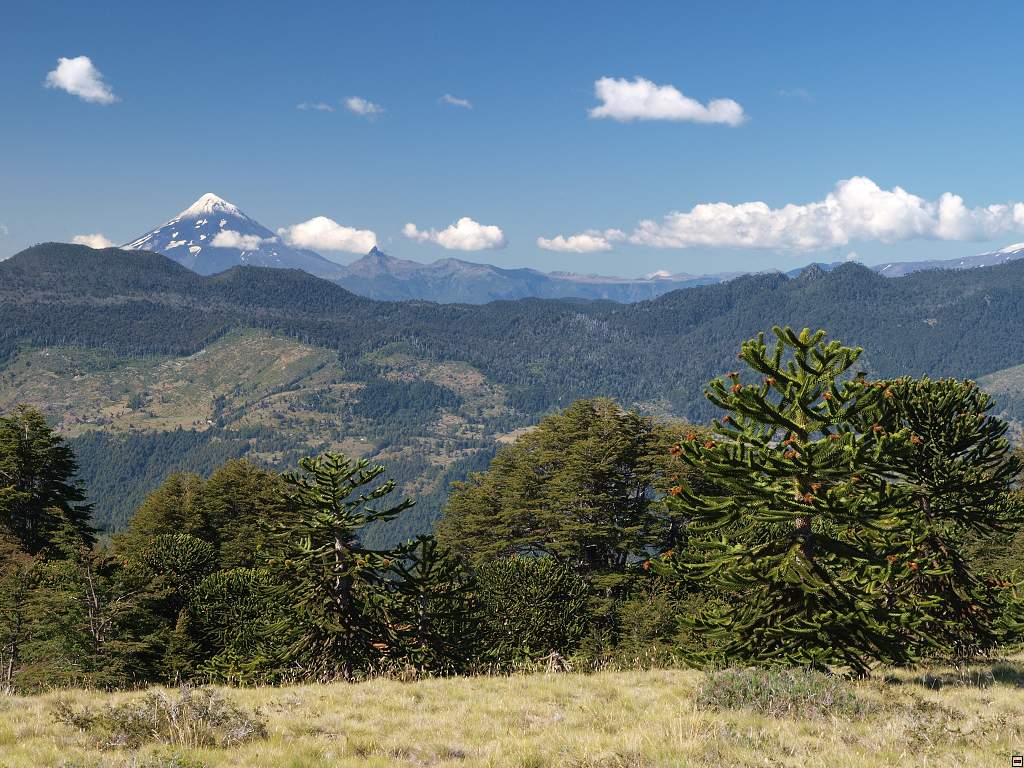 NP Huerquehue - vlevo sopka Lanin.jpg